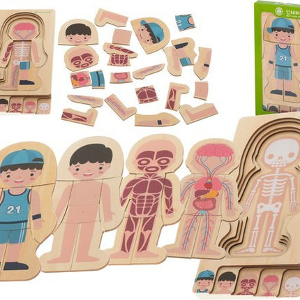 Montessori Puzzel - Leerzaam Anatomie - Biologie - Opbouwpuzzel - Seprio