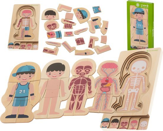 Montessori Puzzel - Leerzaam Anatomie - Biologie - Opbouwpuzzel - Seprio