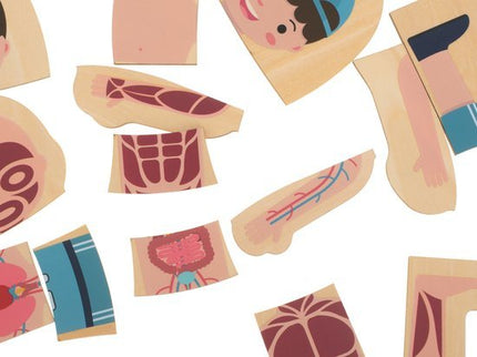 Montessori Puzzel - Leerzaam Anatomie - Biologie - Opbouwpuzzel - Seprio