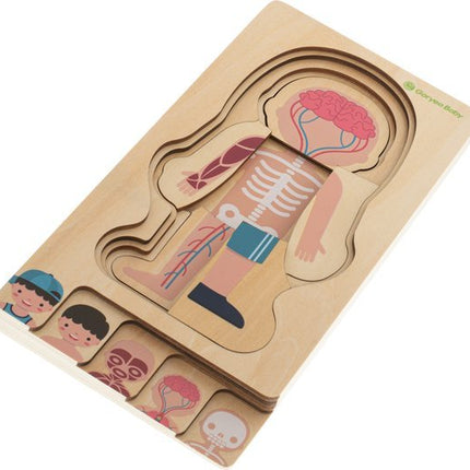 Montessori Puzzel - Leerzaam Anatomie - Biologie - Opbouwpuzzel - Seprio