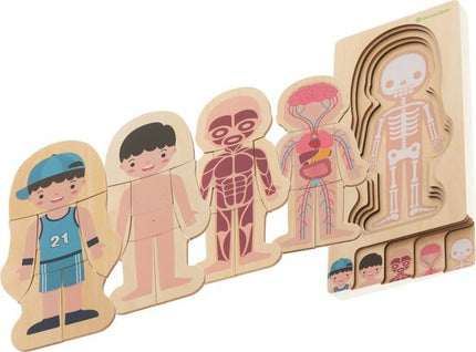 Montessori Puzzel - Leerzaam Anatomie - Biologie - Opbouwpuzzel - Seprio